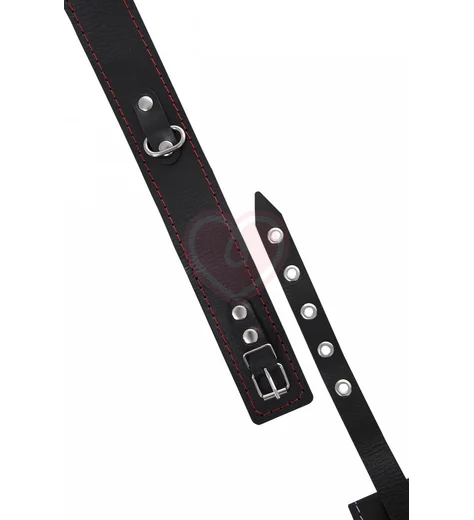 Ошейник с поводком и красной строчкой Pecado BDSM черный фото 7