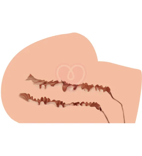 Мастурбатор полуторс с вагиной и попкой Naked Factory Scarlet телесный фото 4