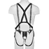Фаллопротез с ремнями Hollow Strap-On Suspender System 25 см чёрный фото 5