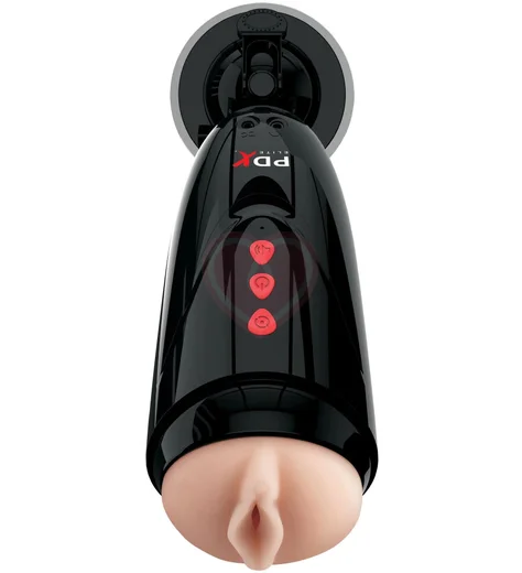 Мастурбатор с вибрацией и звуком PipeDream Pdx Elite Dirty Talk Starter Stroker телесный фото 1