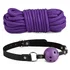 БДСМ-набор из 10 предметов Secret Pleasure Chest Purple Apprentice фиолетовый фото 2