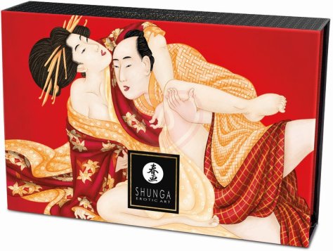 Массажная пудра с перышком Shunga Kissable Massage Powder Клубника и шампанское фото 2