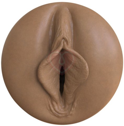 Мастурбатор Fleshlight Boost Bang Brown вагина фото 3