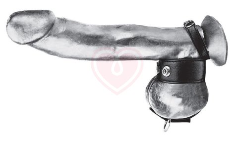 Болстретчер на кнопках с кольцом для грузов Cock Ring with Ball Stretcher фото 1