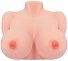 Мастурбатор бюст Kokos Bouncing Series Titties F фото 1