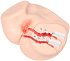 Мастурбатор-полуторс с вагиной и анусом Onahole Real Vagina с двойным слоем и вибрацией фото 7