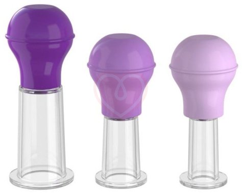 Вакуумные присоски Nipple Enhancer Set фиолетовые фото 1