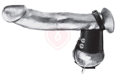 Кольцо на член и мошонку с кольцом для груза Cock Ring 2 with Ball Stretcher фото 1