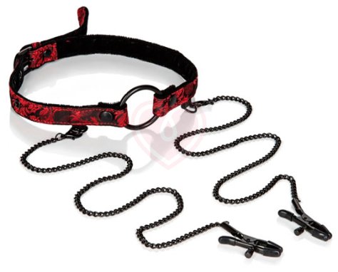 Кляп-рамка Scandal Open Mouth Gag with Clamps с зажимами на соски фото 1