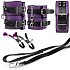 БДСМ-набор из 10 предметов Secret Pleasure Chest Purple Apprentice фиолетовый фото 3