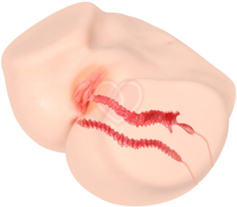 Мастурбатор-полуторс с вагиной и анусом Onahole Real Vagina с двойным слоем фото 7
