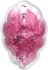 Вакуумный вибростимулятор Satisfyer Cloud Dancer розовый фото 4
